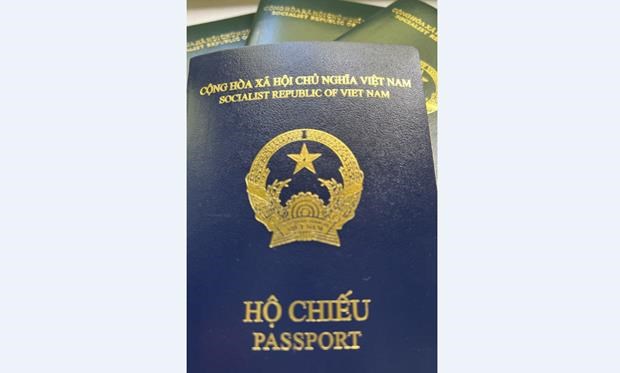 Cuốn hộ chiếu kiểu mới (màu xanh tím than) so với các cuốn hộ chiếu cũ màu xanh. (Ảnh: Mạnh Hùng/TTXVN)
